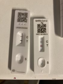 WEEKS 40-41: The Covid Chronicles