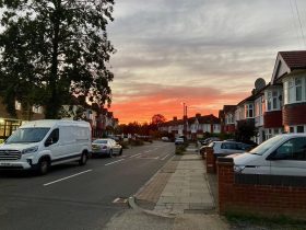 WEEK 28: Is That You, Mother Earth?